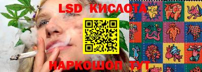 индика Ирбит