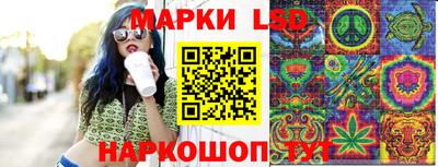 индика Заводоуковск