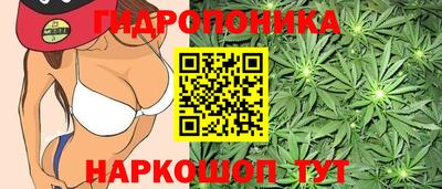 крисы Ипатово