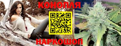 индика Заводоуковск